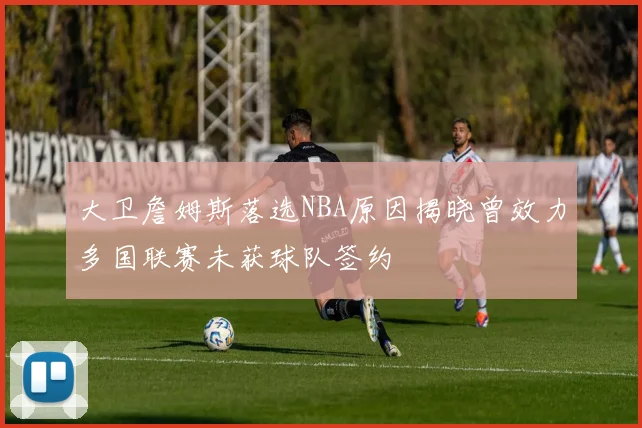 大卫詹姆斯落选NBA原因揭晓曾效力多国联赛未获球队签约