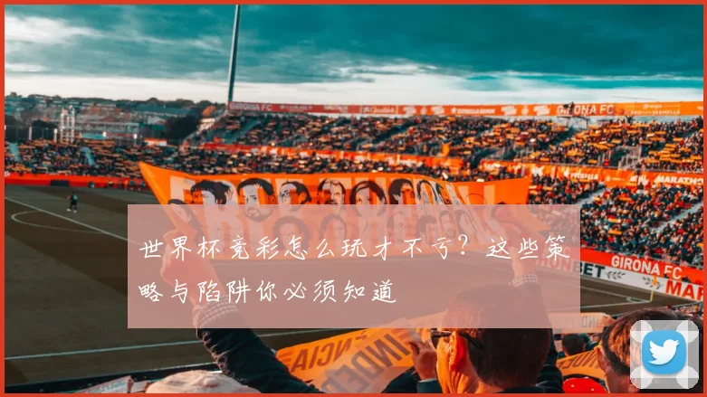 世界杯竞彩怎么玩才不亏？这些策略与陷阱你必须知道