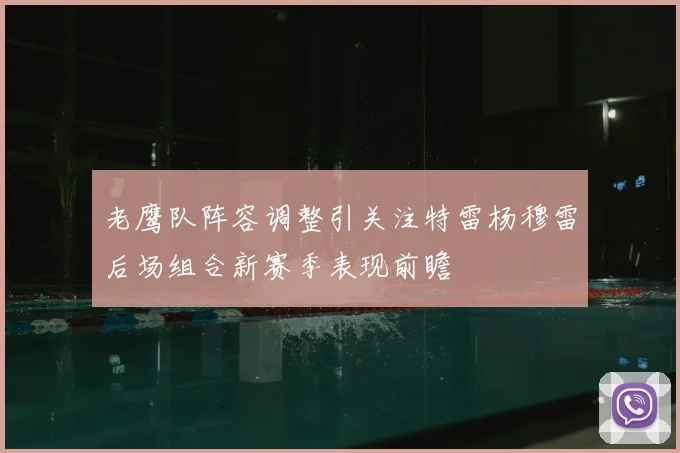 老鹰队阵容调整引关注特雷杨穆雷后场组合新赛季表现前瞻