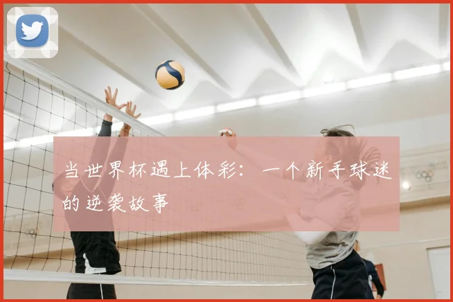当世界杯遇上体彩:一个新手球迷的逆袭故事