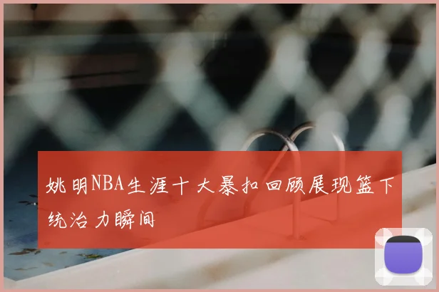 姚明NBA生涯十大暴扣回顾展现篮下统治力瞬间