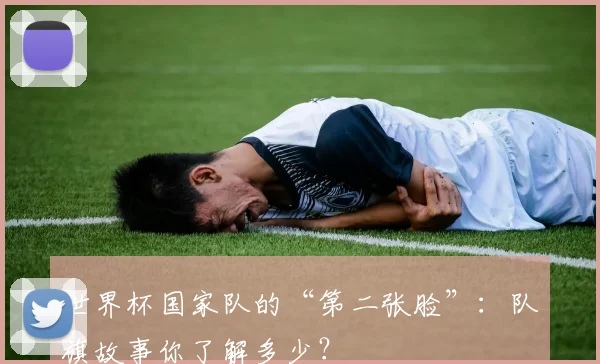 世界杯国家队的“第二张脸”：队旗故事你了解多少？