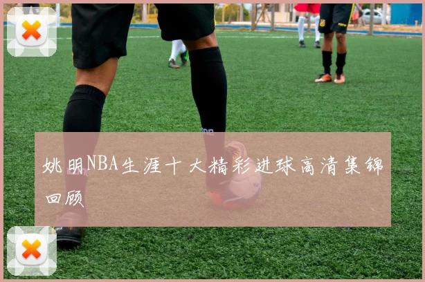 姚明NBA生涯十大精彩进球高清集锦回顾