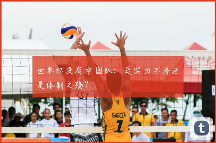 世界杯没有中国队：是实力不济还是体制之殇？
