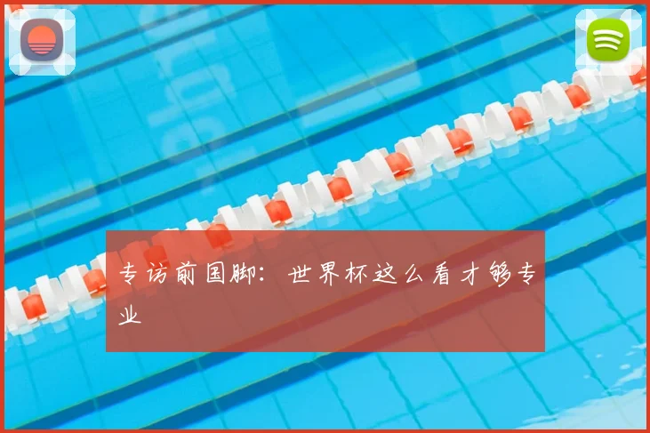 专访前国脚：世界杯这么看才够专业