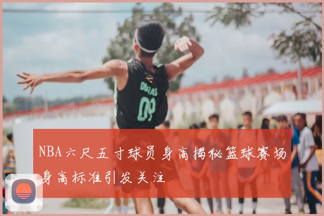 NBA六尺五寸球员身高揭秘篮球赛场身高标准引发关注