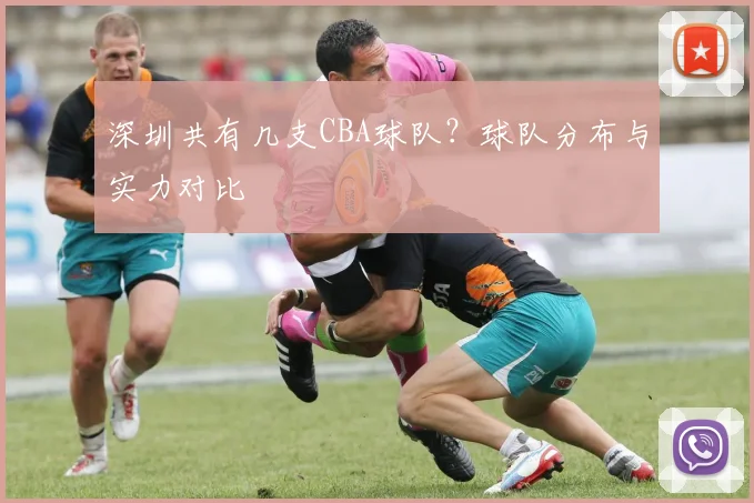 深圳共有几支CBA球队？球队分布与实力对比