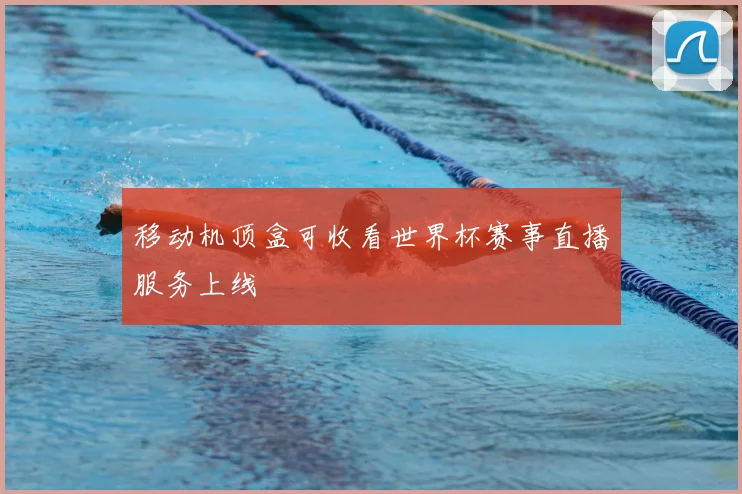 移动机顶盒可收看世界杯赛事直播服务上线